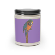 将图片加载到图库查看器,Nicana Tropic Scented Candle, 9oz