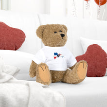 Load image into Gallery viewer, Dominican Design Plush Toy with T-Shirt