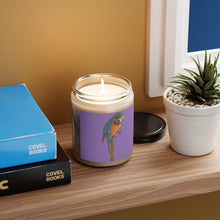 将图片加载到图库查看器，Nicana Tropic Scented Candle, 9oz
