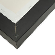 将图片加载到图库查看器，Nicana The Transformation Matte Canvas, Black Frame
