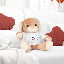 Cargar imagen en el visor de la galería, Dominican Design Plush Toy with T-Shirt
