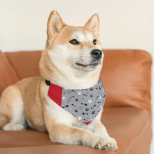 将图片加载到图库查看器，Nicana Bones and Fish Pet Bandana Collar
