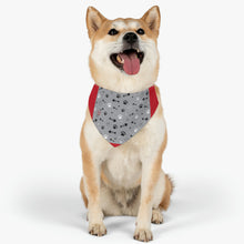 将图片加载到图库查看器，Nicana Bones and Fish Pet Bandana Collar
